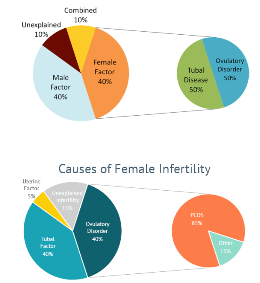 Two pie charts showing different causes of infertility